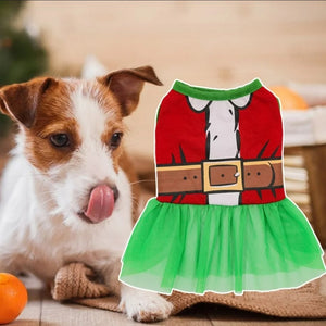 Santa Dress - doggierosestar