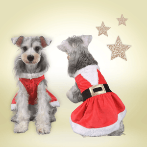 Santa Dress - doggierosestar